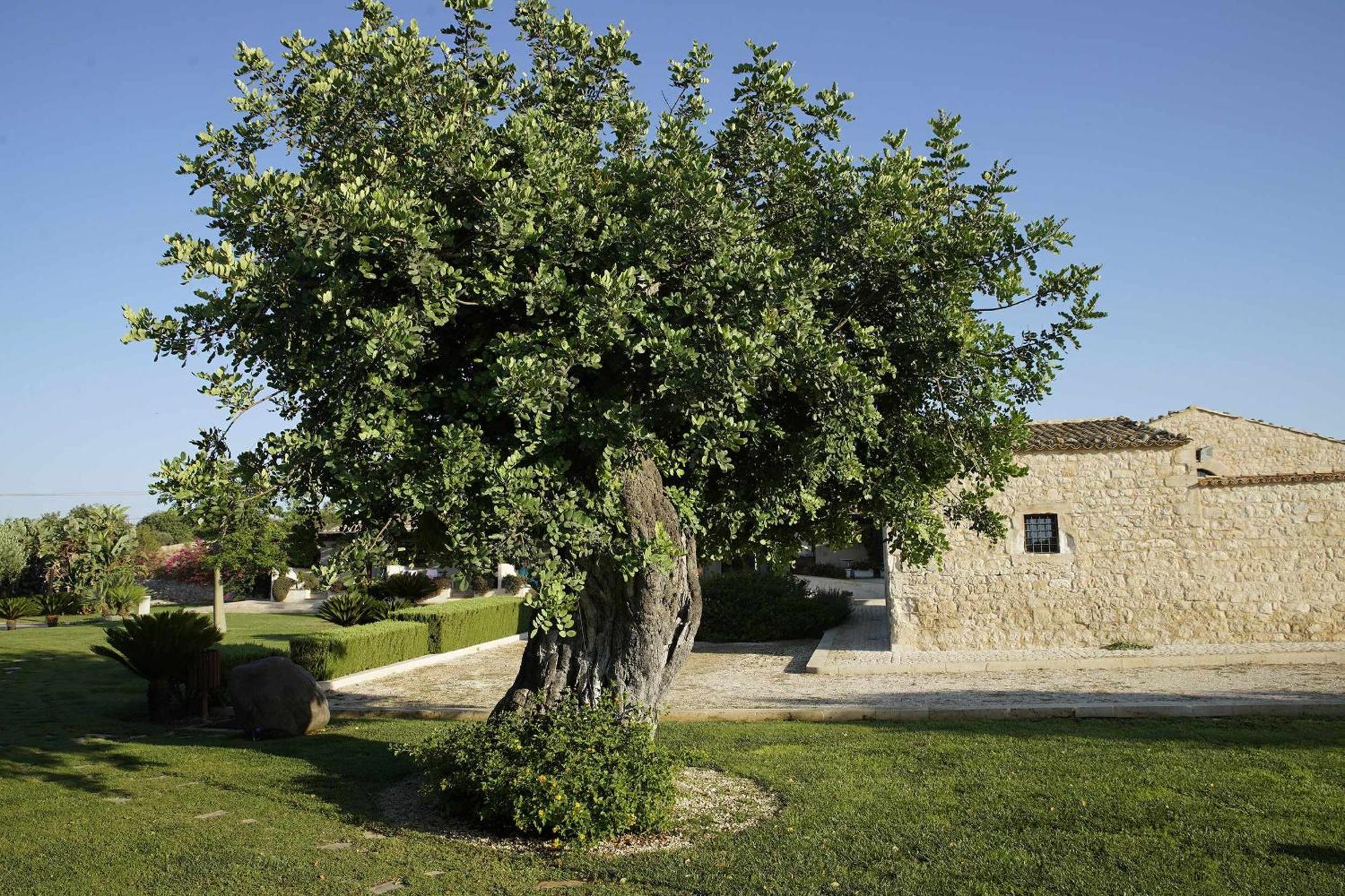 Torre Dantona Country Suites Pozzallo Εξωτερικό φωτογραφία
